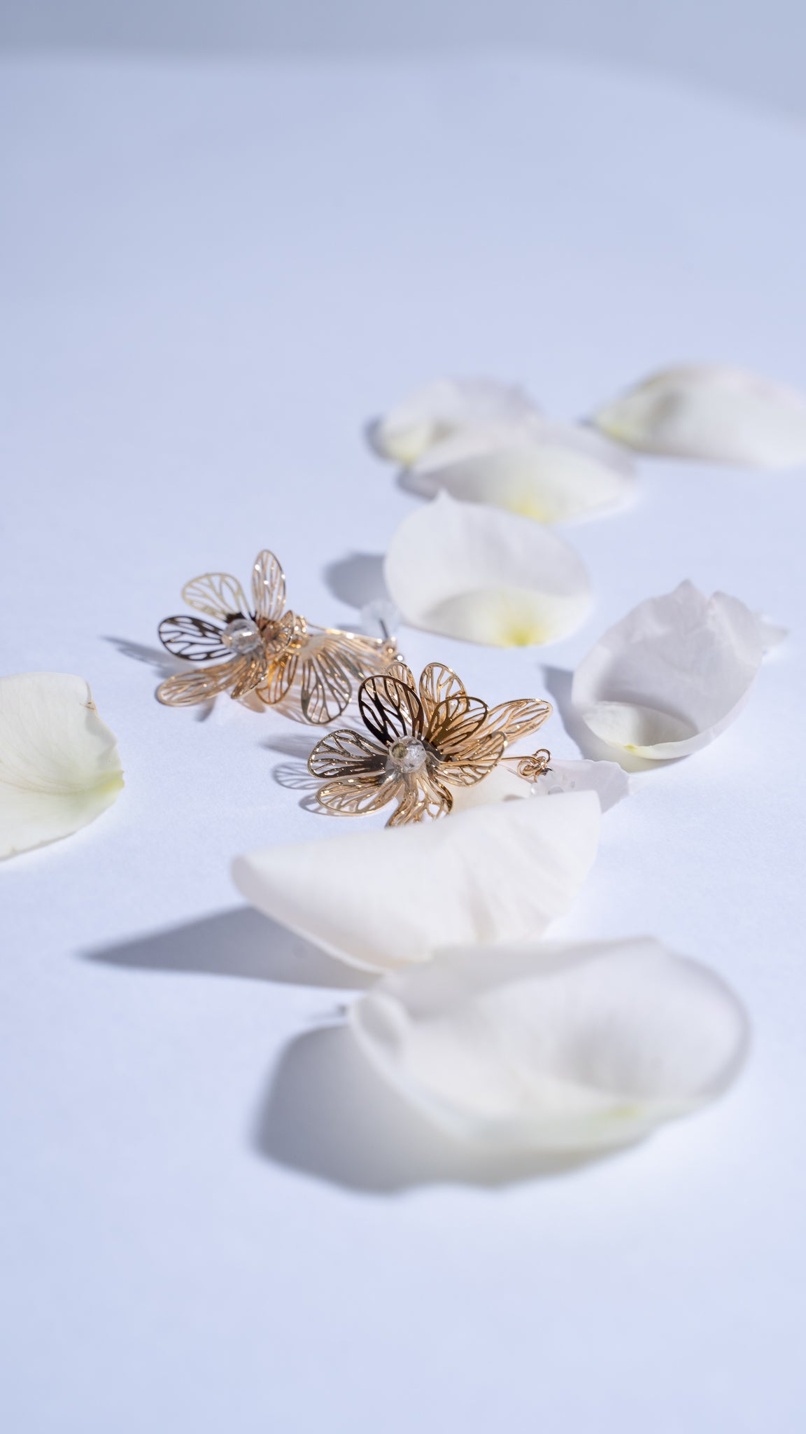 フラワーシリーズについて